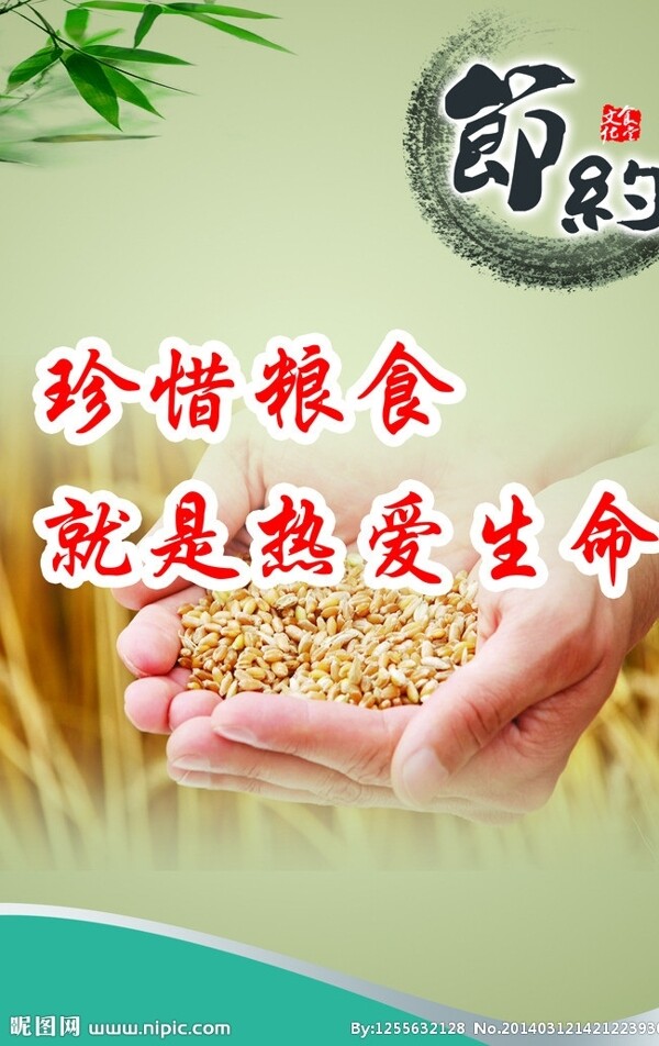 節(jié)約糧食圖片