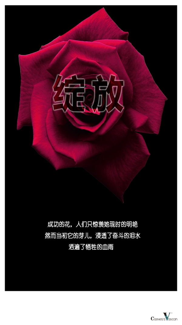 綻放