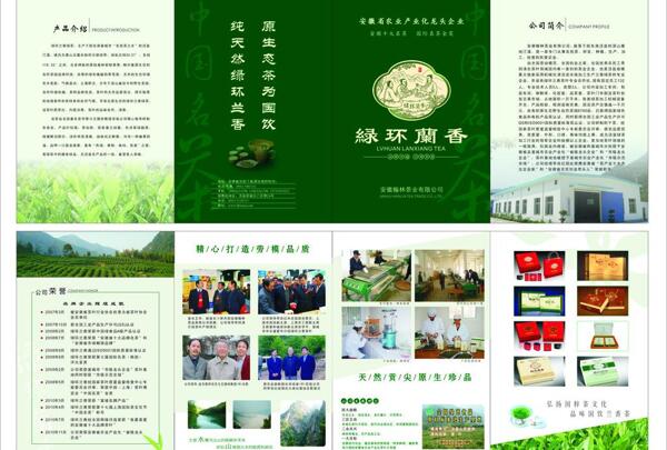 翰林茶葉折頁圖片