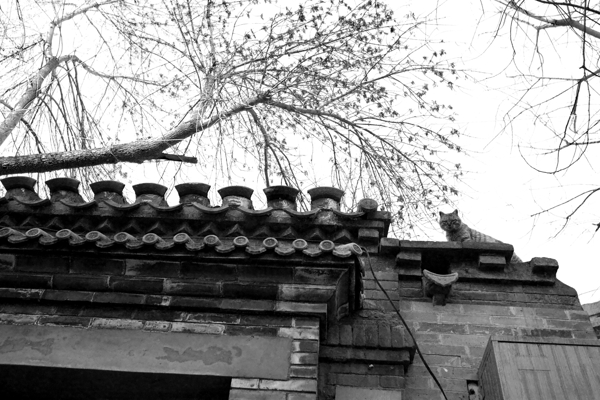 老北京建筑房屋