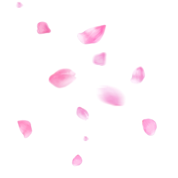 漂浮的桃花花瓣飘落的粉红色花瓣飞舞的桃花