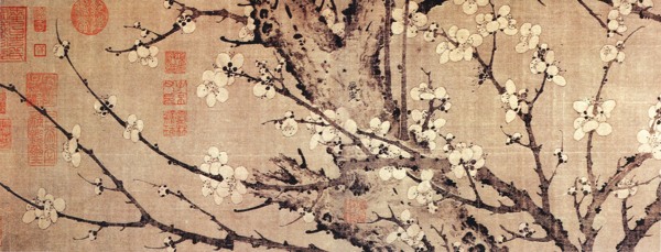 盛開的梅花樹