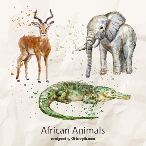 水彩绘非洲动物图片