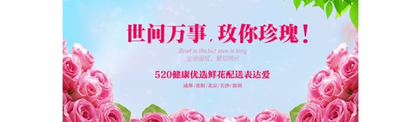 520鮮花配送BANNER海報(bào)