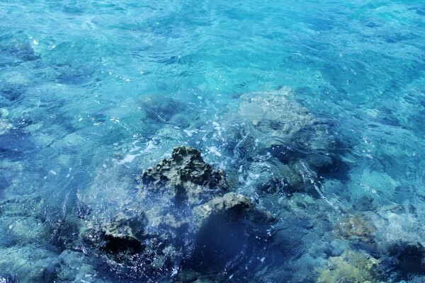 清澈海水珊瑚礁图片