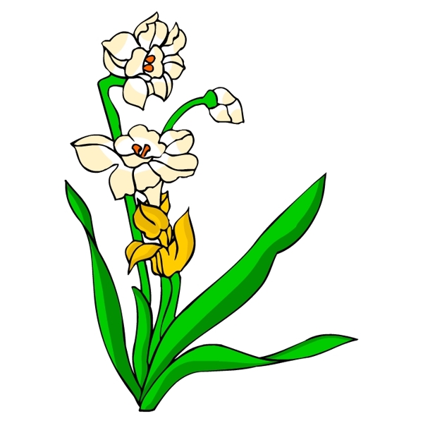 花卉古典插畫(huà)