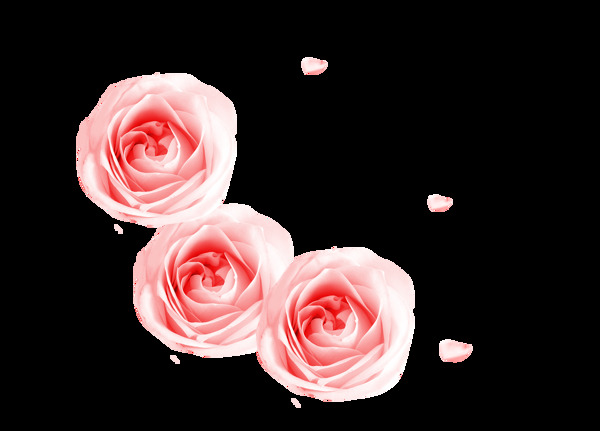 矢量手绘淡粉色玫瑰花元素