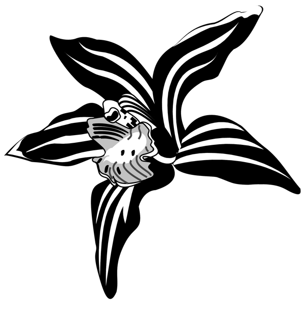 花朵花草鮮花矢量EPS格式0206