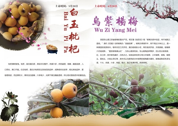 農(nóng)產(chǎn)品畫冊