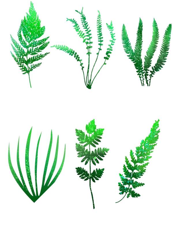 绿色蕨类植物叶子可商用元素套图