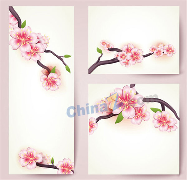 櫻花花枝卡片矢量設計