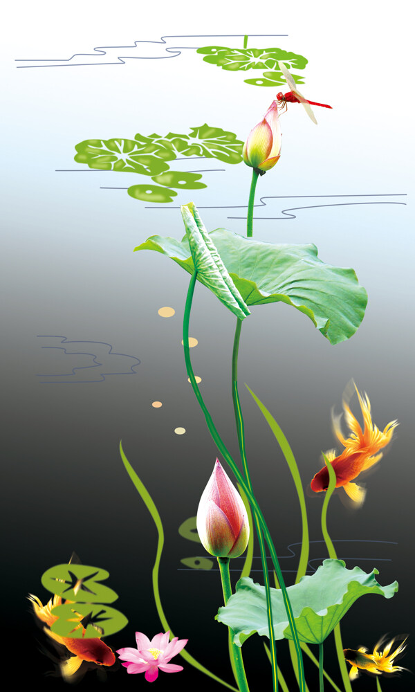 ch215150x250