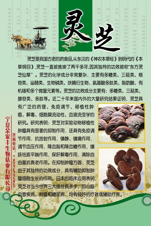 靈芝宣傳草業(yè)