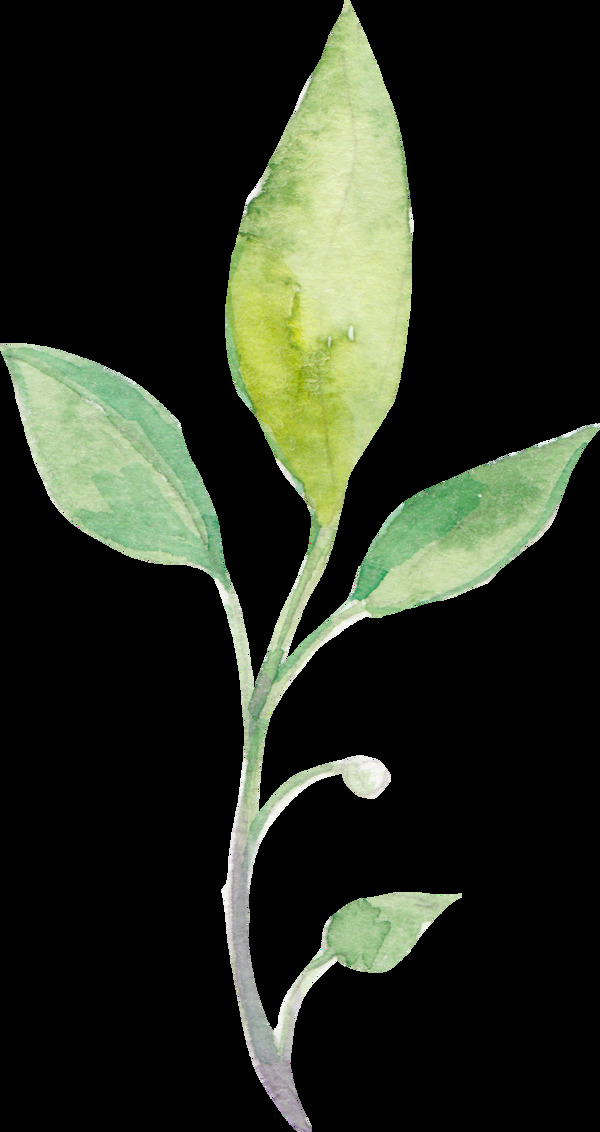 樹(shù)枝透明裝飾素材