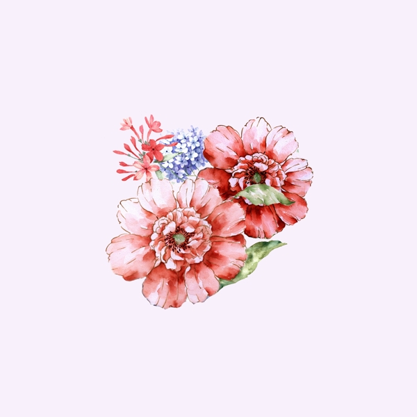 位圖psd植物花朵免費素材
