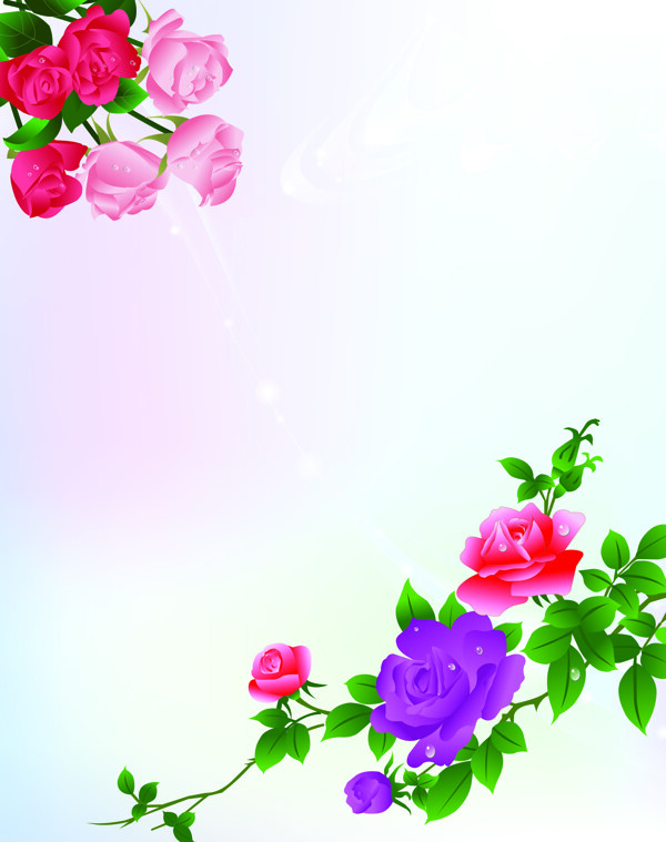 玫瑰花二
