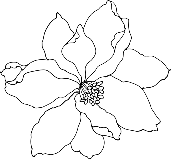 2008最新潮流花紋矢量圖123