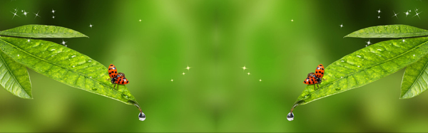 綠色植物小清新banner