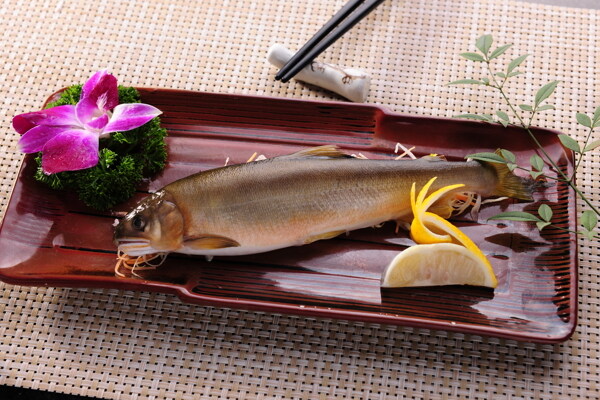 魚