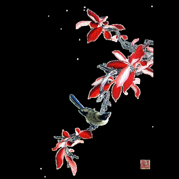 唯美多樣鳥兒靜態(tài)素材