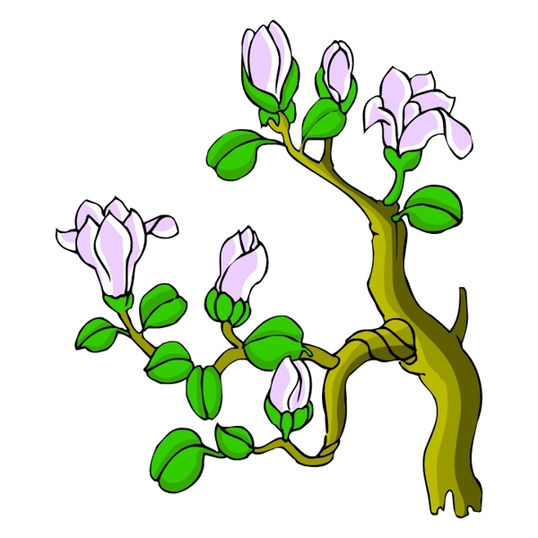 花卉古典插畫