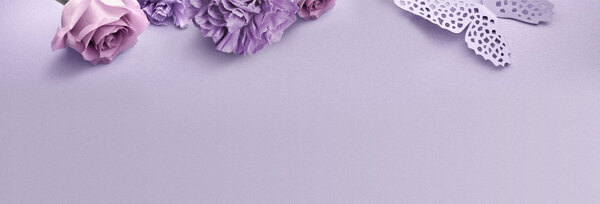 簡(jiǎn)約紫色玫瑰banner背景