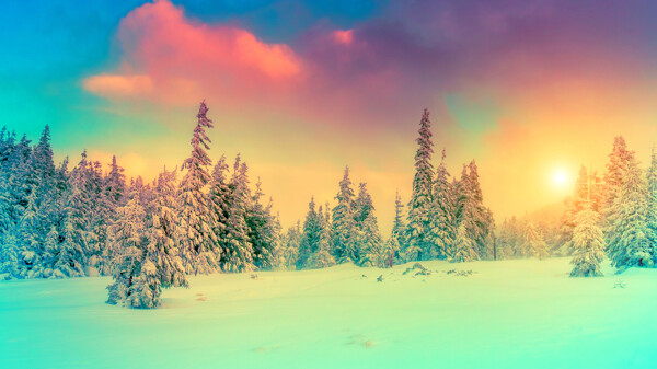唯美雪景