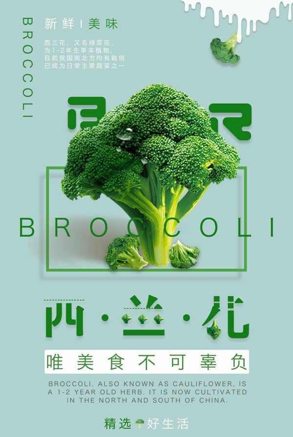 西兰花蔬菜海报