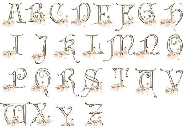 天鹅英文字母图片