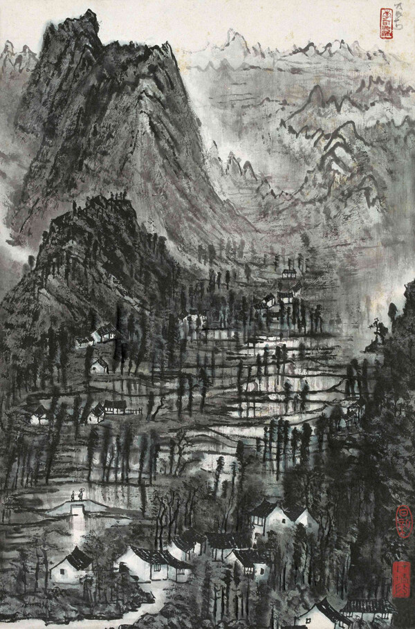 青山密林高清圖片