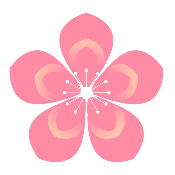朵粉色的樱花插画