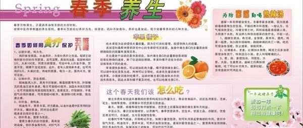 春季養(yǎng)生展板圖片
