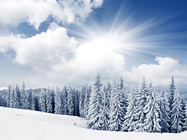 唯美冬日雪景圖片