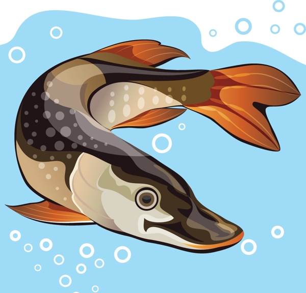 矢量魚圖片