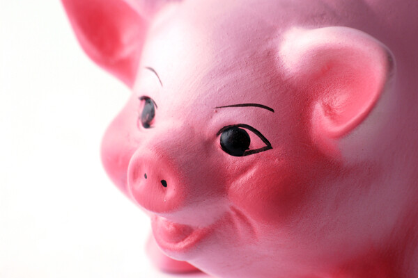 可爱小猪存钱罐图片