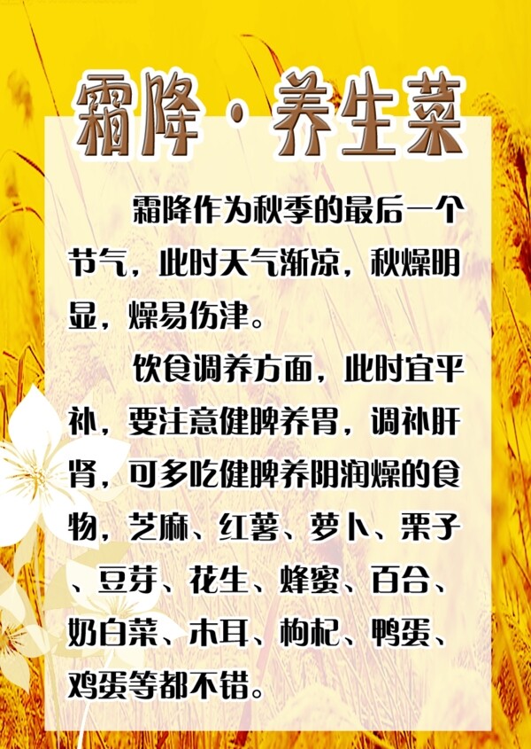 霜降養(yǎng)生菜展板圖片
