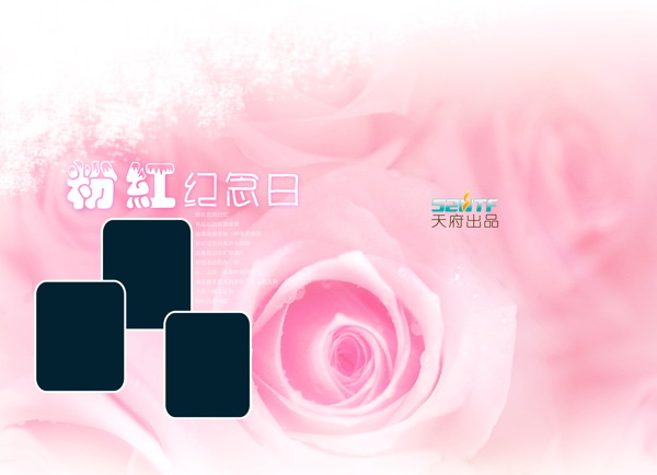 婚紗照相框