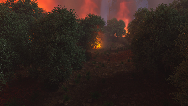 燃烧中的夜晚森林山火烟雾图片