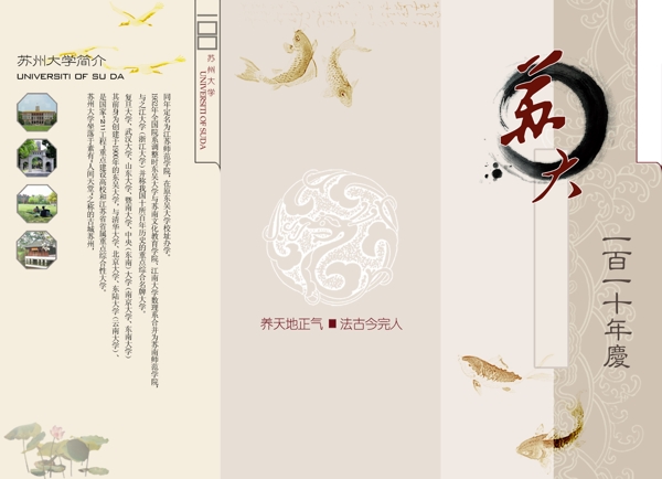 封面三折頁設(shè)計圖片