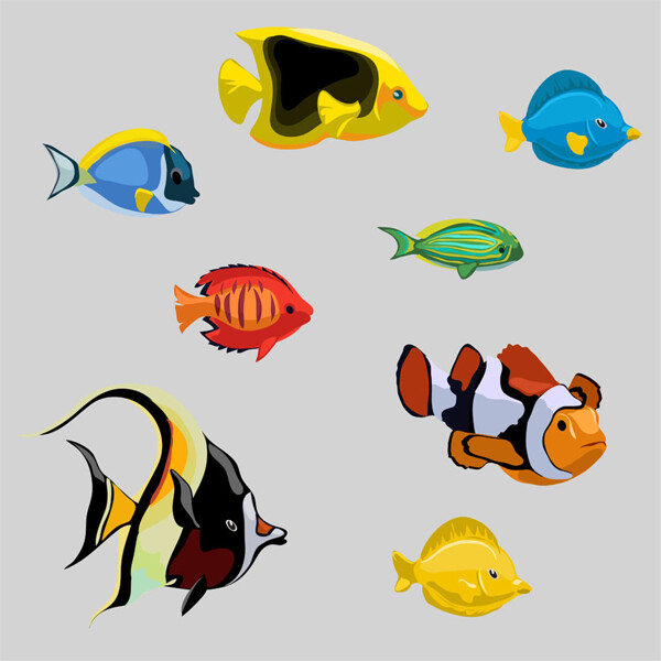 彩色熱帶魚圖片