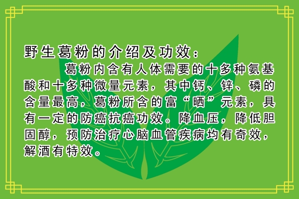葛粉介紹圖片