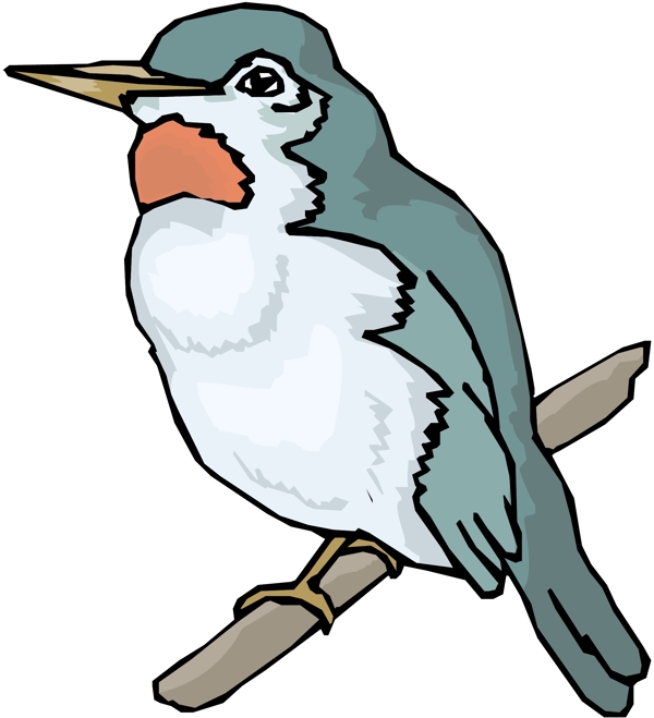 各種鳥類鳥動物矢量素材EPS格式0389