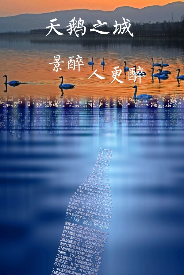 紅酒天鵝之城