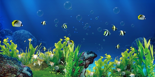 魚缸背景素材