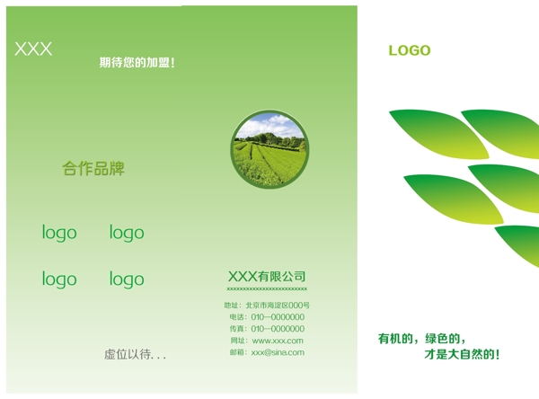 绿色食品绿茶三折页图片