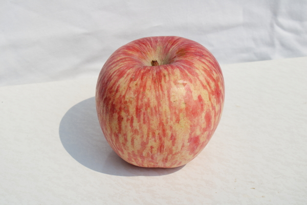 静物拍摄水果苹果白底图片