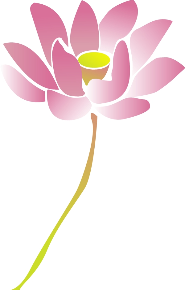 卡通彩色印花