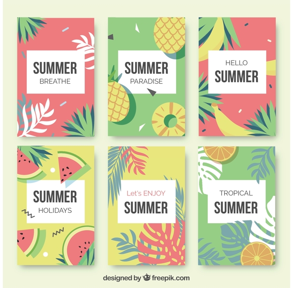夏季水果卡片和棕榈叶