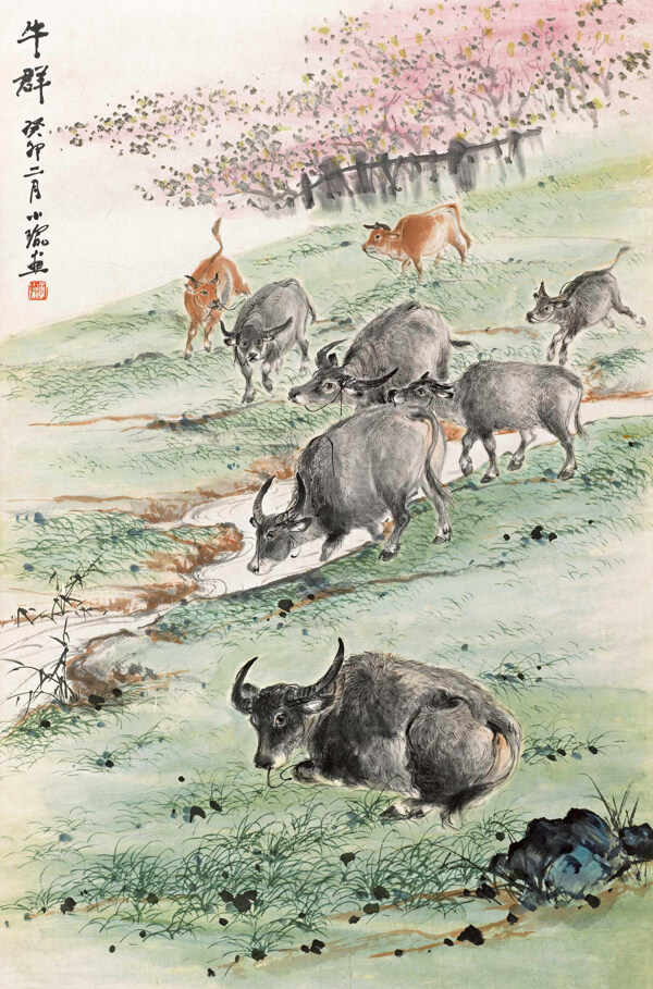 牛群圖片