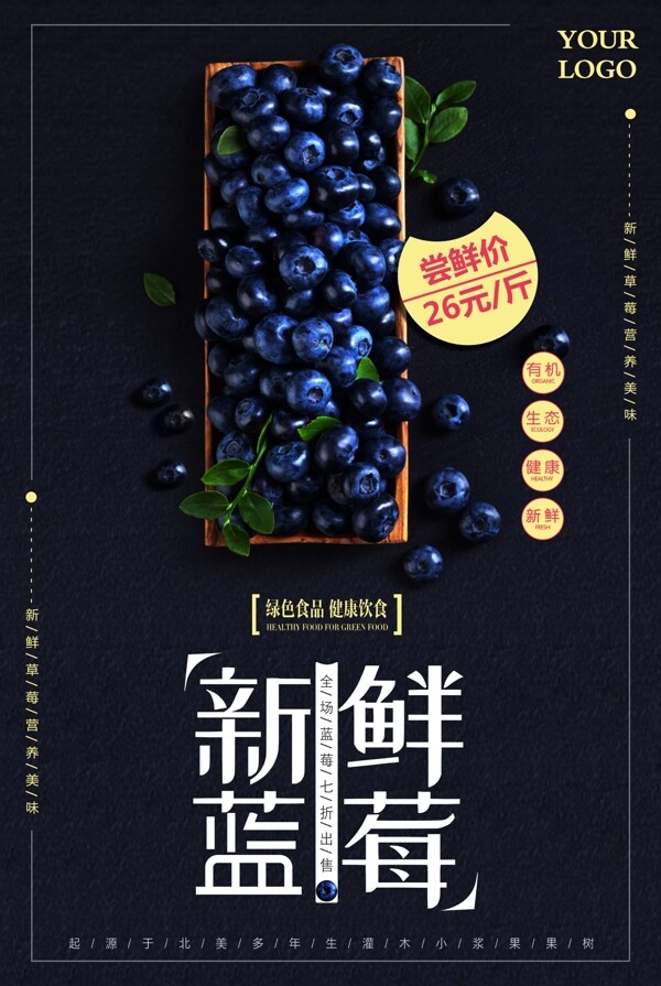 新鲜蓝莓促销海报